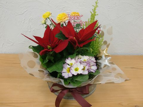 H25.12.24.jpg