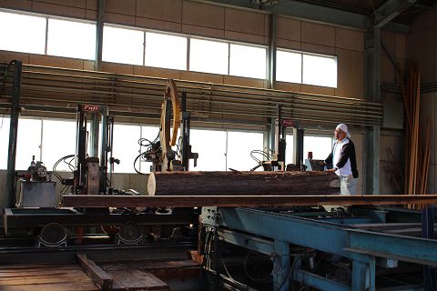 IMG_15850001.jpg