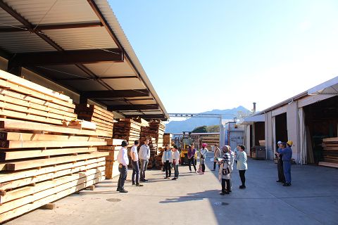 IMG_17230001.jpg