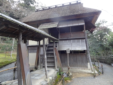 TSU-0106-1.jpg