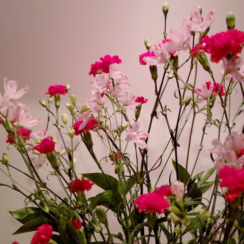 flower120428.JPG