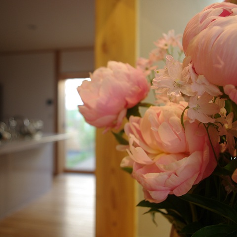 flower120506.JPG