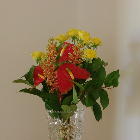 flower120520.JPG