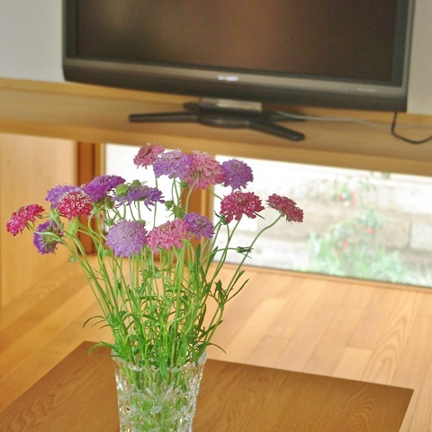 flower120526.JPG