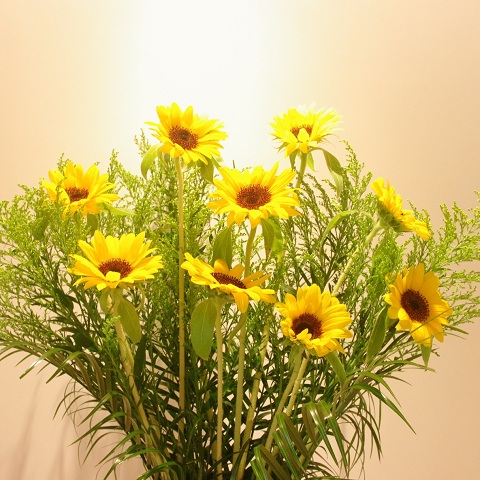 flower120623.JPG