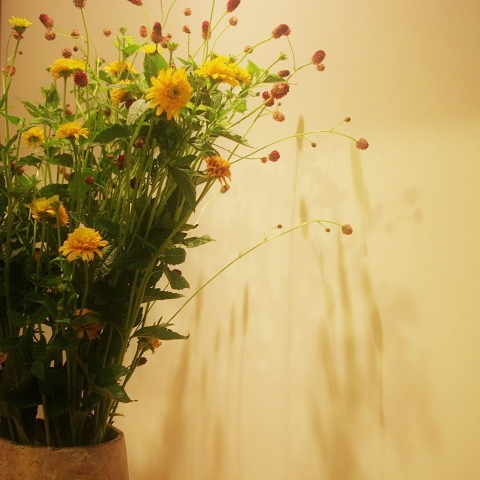 flower120715.JPG