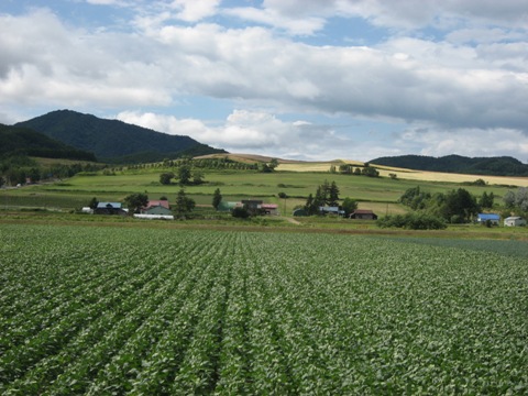 furano3.jpg