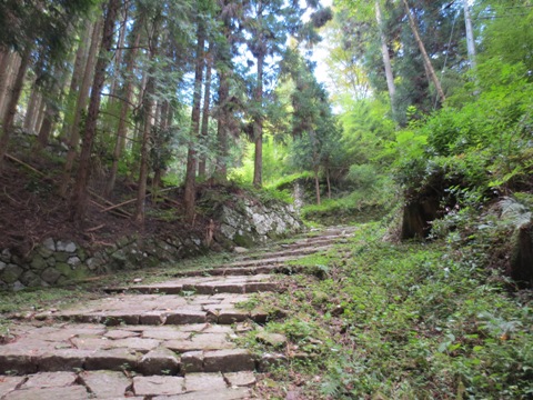 iwamura11.jpg