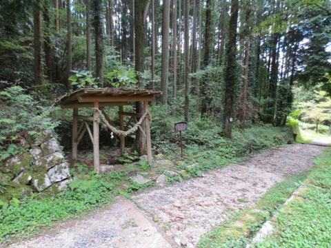 iwamura12.jpg