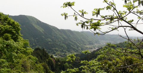kanagawamountain_1cut.jpg