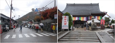 kinomoto1.jpg
