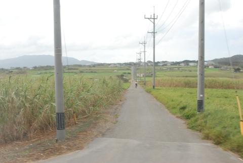 kohama1.jpg