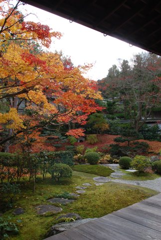 sennyuji3.jpg
