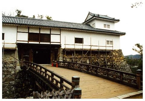 sotsu_hikone1.jpg