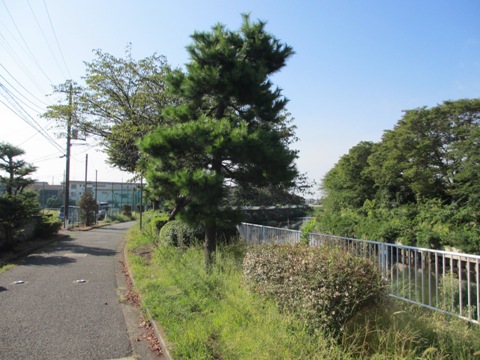 tsuukin4.jpg
