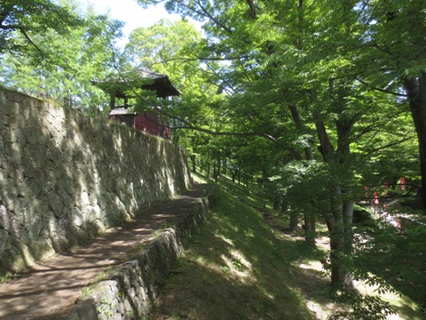 ueda2.jpg