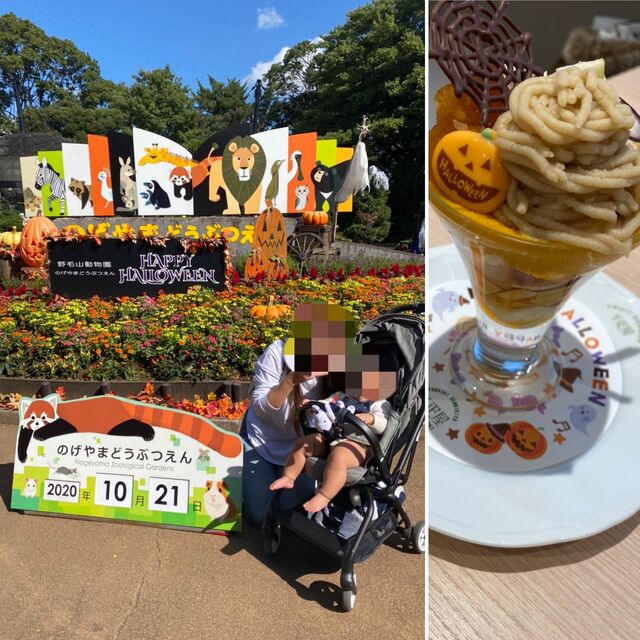 00BA749F-46DB-4BA1-B82A-5A29F6FD5C0F.jpeg
