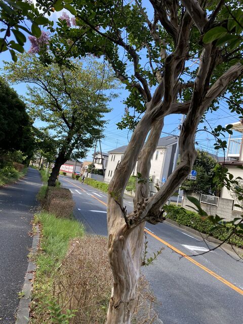 07F6DCFA-14C6-4D8F-8DE1-47FBC4E83ACA.jpeg