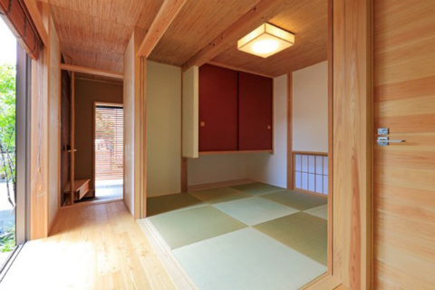 15517.jpg