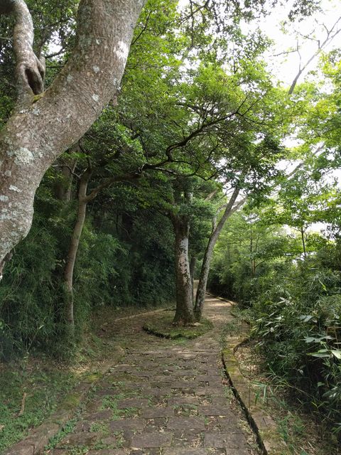 IMG_20180725_105347.jpg