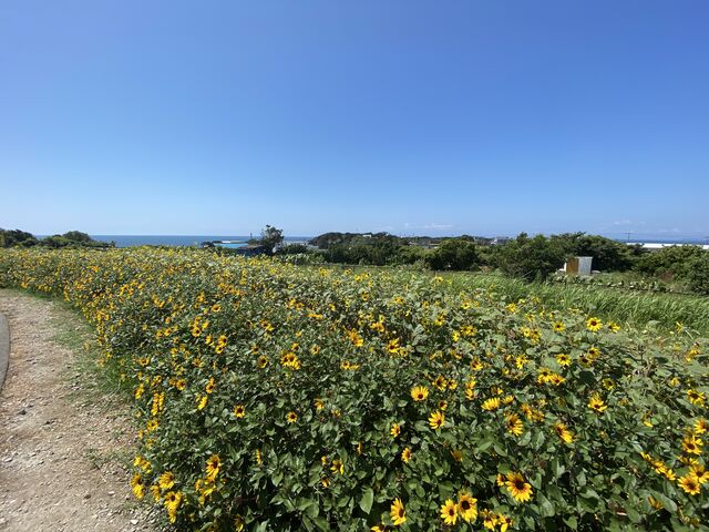 72942BD8-E701-43A3-AEBF-A6DB574A1A35.jpeg