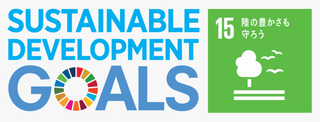 sdg_18set.png