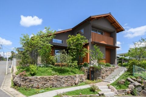 ACdeco235.jpg