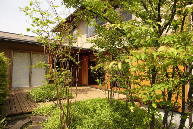 DSC00289.jpg