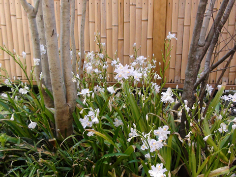 DSC01320re.jpg