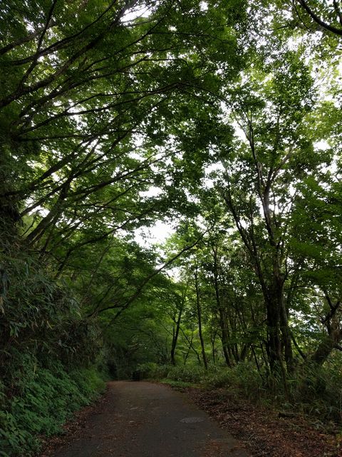 IMG_20180725_091513.jpg