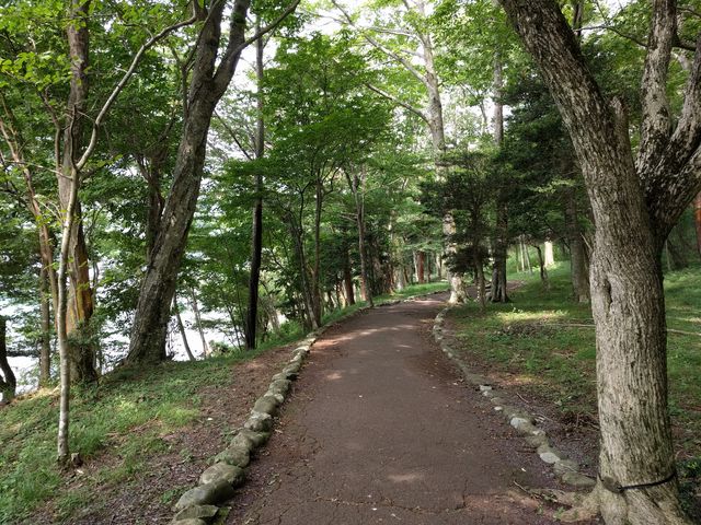 IMG_20180725_094545.jpg