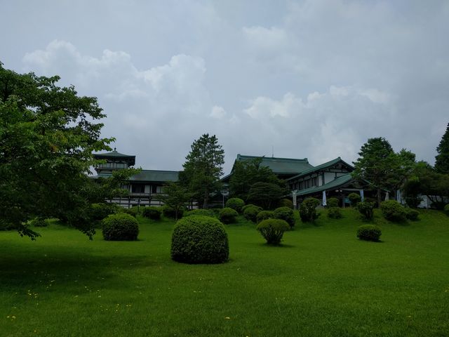 IMG_20180725_104306.jpg