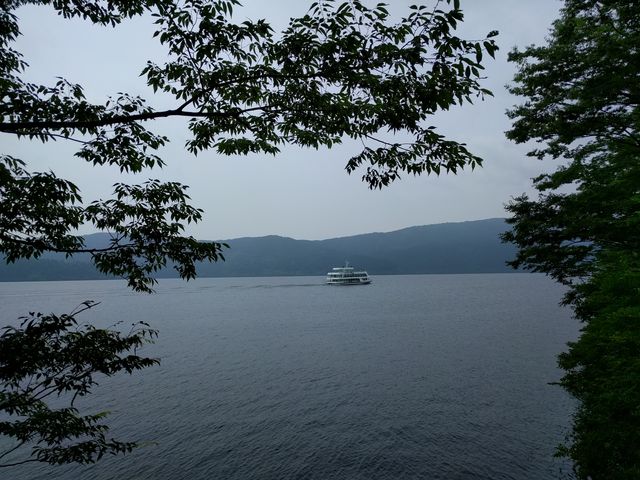 IMG_20180725_110034.jpg