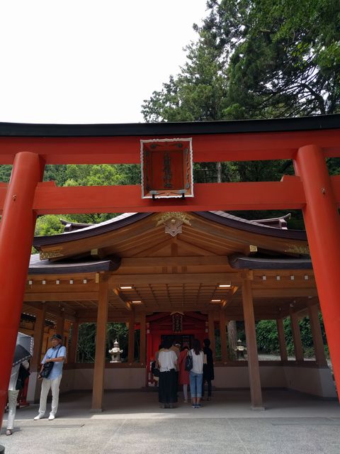 IMG_20180725_112218.jpg