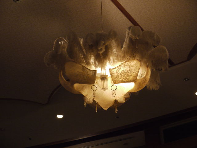 P1050085.jpg