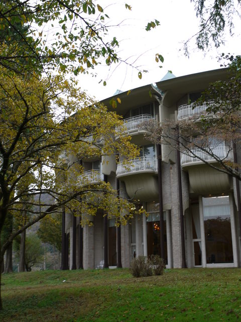 P1050114.jpg