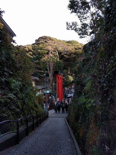IMG_20180121_enoshima.jpg