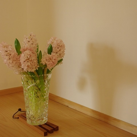 flower0225.jpg