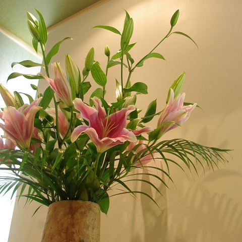 flower120415.JPG