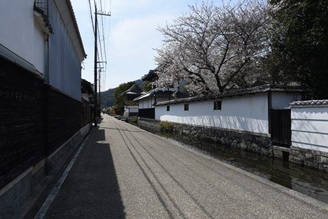 gokas04.jpg