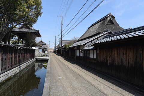 gokas05.jpg