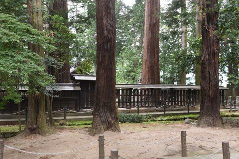hida1904.jpg