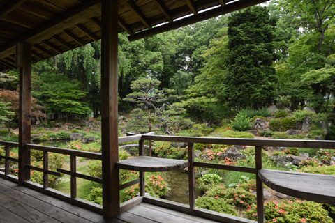 hida1907.jpg