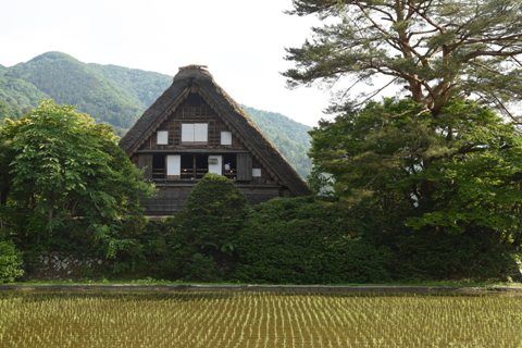 hida1908.jpg