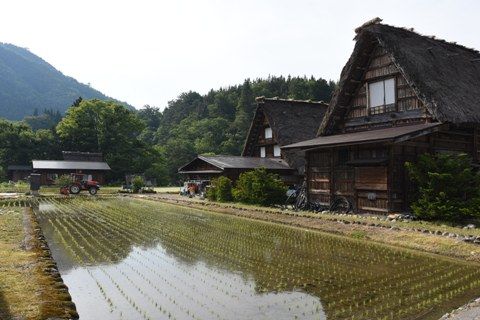 hida1910.jpg