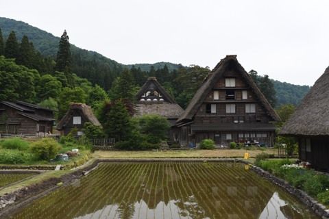 hida1911.jpg