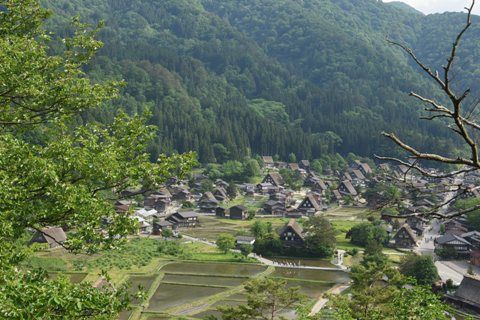 hida1914.jpg