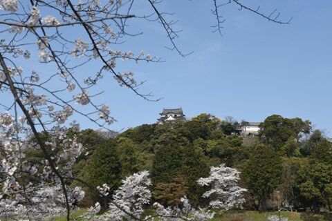 hikone01.jpg