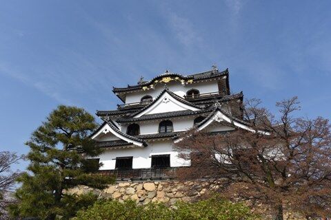hikone02.jpg