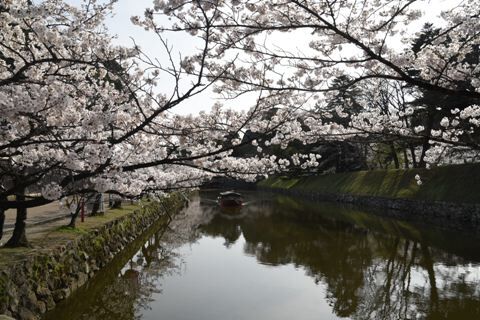 hikone03.jpg